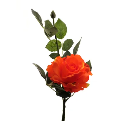 Роза Лимбо с почкой оранжево-красная 30 см живое прикосновение - Atelier de  Fleur