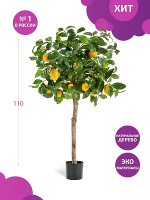 Искусственное дерево \"Лимонное дерево с плодами на штамбе\" 110 см Gerard de  ros 18204635 купить в интернет-магазине Wildberries