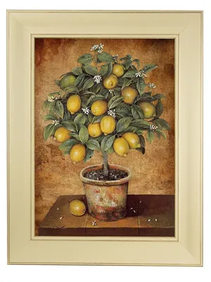 Картина \"Лимонное дерево\" Elenadecor 8015141 купить за 2 242 ₽ в  интернет-магазине Wildberries