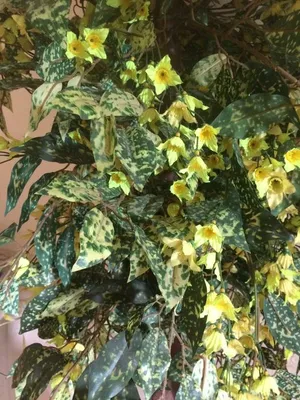 Коврик цветок стеганый \"Лимонник\" 130*130см, купить от Украиского  производителя Samovyazanka.in.ua