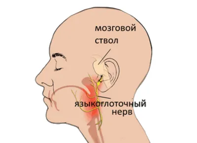 Языкоглоточный нерв