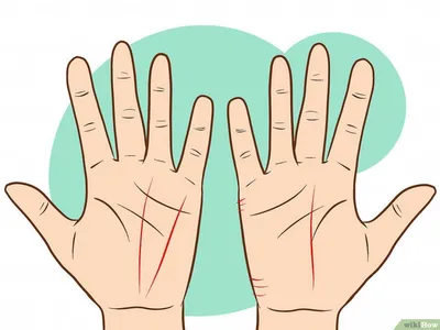 Хиромантия рук: линии на руках и их значение | РОДОГОРИЯ