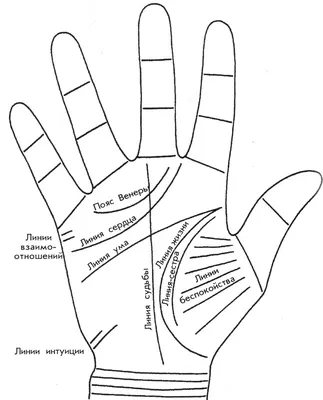 Линия между линией сердца и ума - как распознать и расшифровать