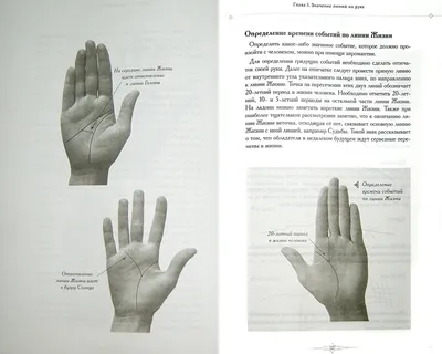 Иллюстрация 2 из 4 для Энциклопедия хиромантии. Ваша судьба как на ладони |  Лабиринт - книги. Источник: