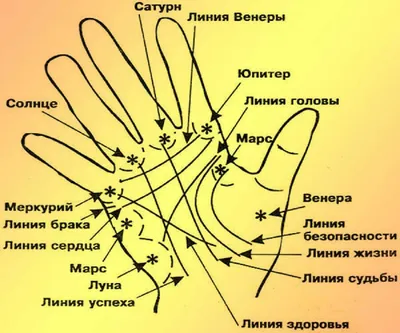 Как гадать - гадание по руке: линия? Что означают линии на руке в Хирома |  Заговоры, молитвы, заклинания | Постила