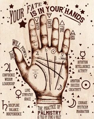Хиромантия рук: линии на руках и их значение | РОДОГОРИЯ