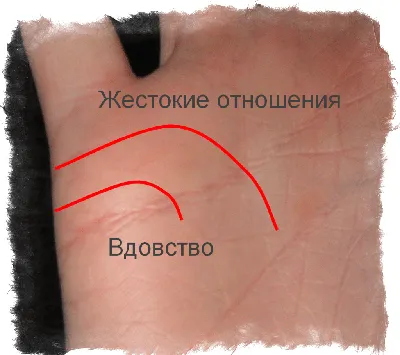 2 линии брака на правой. Линии брака на руке: значение, виды, фото с  расшифровкой