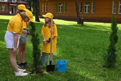 Литвиново - лагерь в г. Москва, Московская область. Творческий лагерь для  детей от 7 до 15 лет