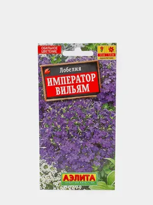 Семена цветов Лобелия каскадная белая Аэлита в Москве – купить по низкой  цене в интернет-магазине Леруа Мерлен