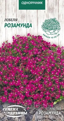 Семена цветов Лобелия Хрустальный дворец, набор 5 упаковок
