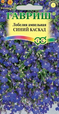 Лобелия Синий (кашпо) 890 руб. AGRO1214