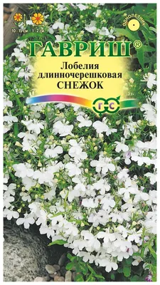 Семена цветов лобелия Снежок Гавриш 1026998907 0,05 г 1 уп. -  характеристики и описание на СберМегаМаркет