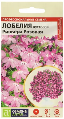 Цветы Лобелия Эринус Хрустальный дворец/Сем Алт/цп 0,02 гр. Альпийская  горка НОВИНКА