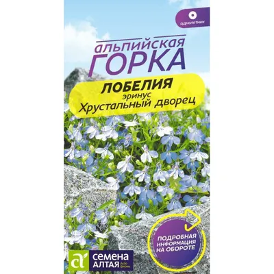 Искусственные цветы НЕЖНАЯ ЛОБЕЛИЯ в горшке, розовые, 28 см, Kaemingk  800000-розовые - 1'430 руб - купить в интернет магазине \"Морозко\