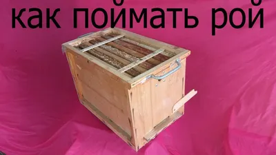 ловушка для пчёл. Бомба. Как поймать рой. Ловушка для пчел своими руками.  Пчеловодство. Пчелы Пасека - YouTube