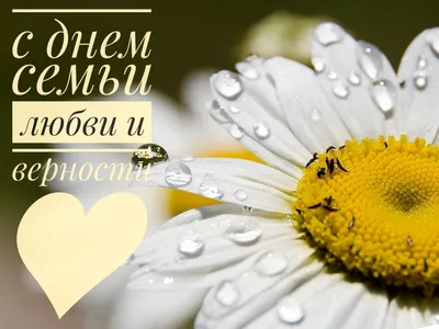 Любите и будьте любимы 🍒искренно и беззаветно 🍀🌺🌷🌺 И не только 8 июля!  😁☝