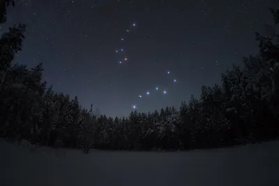 Большая и Малая медведицы. | Пикабу