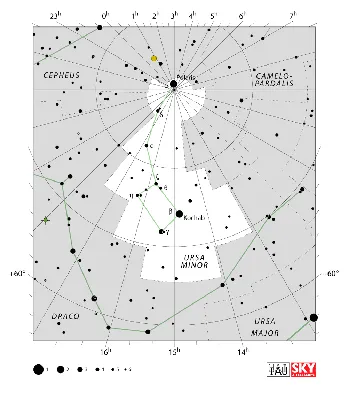 Малая Медведица: приполярное созвездие | Астромиф v.2.0