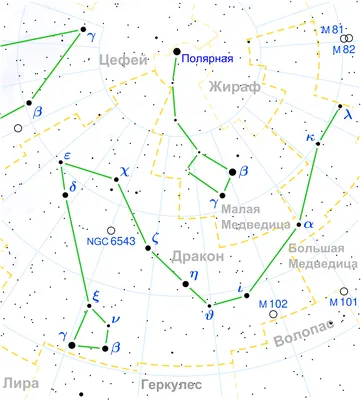 Легенды о звездах. Медведи, пёсики и Волопас. | Записки звездного искателя  | Дзен