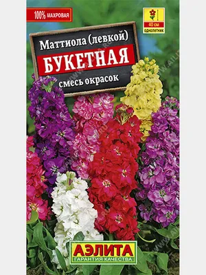 Маттиола Букетная, смесь окрасок 0,2г (Аэлита)(Семена,Цветы) за 38 ₽ купить  в интернет-магазине KazanExpress