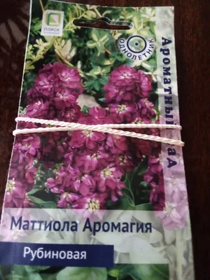 Семена Цветы, Маттиола, Аромагия Рубиновая, 10 шт, Ароматный сад, цветная  упаковка, Поиск в Москве: отзывы, цены, описание и фотографии, специальные  цены в интернет-магазине Порядок.ру