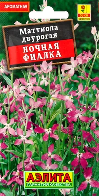 Семена цветов Семена Маттиола Ночная фиалка розовый Аэлита в Москве –  купить по низкой цене в интернет-магазине Леруа Мерлен