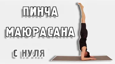 Маюрасана (поза павлина) 💎 Йога для начинающих ⚡ Асаны йоги ⭐ SLAVYOGA -  YouTube