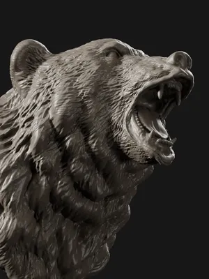 ArtStation - Bear head grid Оскал медведя , голова