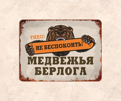 Что такое берлога: место зимовки медведей. Обсуждение на LiveInternet -  Российский Сервис Онлайн-Дневников
