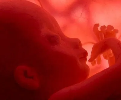 Лекарственный препарат Бейджинг Зижу Фармасьютикал Ко Мифепристон -  «Замершая беременность в 6,5 недель. Медикаментозный аборт. Как совместить  с грудным вскармливанием. Стимуляция родов мифепристоном - лучший вид  стимуляции!» | отзывы