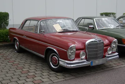 1969 Mercedes-Benz 220 Sedan (вид спереди) | 1960-е | Коллекция фотографий бледного пса