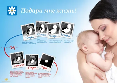 Вред аборта для женского здоровья | mgb1-74.ru