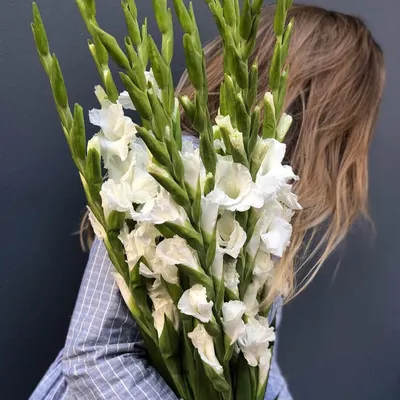 9 белых гладиолусов в букете | Бесплатная доставка цветов по Москве