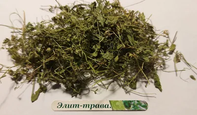 Звездчатка средняя (мокрица) 50 грамм, цена 60 грн — Prom.ua (ID#637070938)