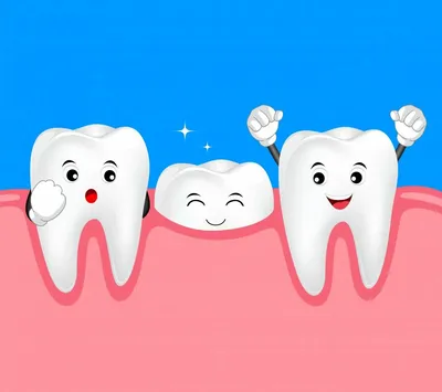 Что нужно знать про смену молочных зубов на постоянные |  assistent-stomatologa | Дзен