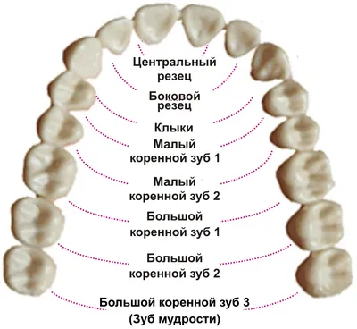 Лечение зубов | Стоматологическая клиника \"Sumskaya\" в Харькове
