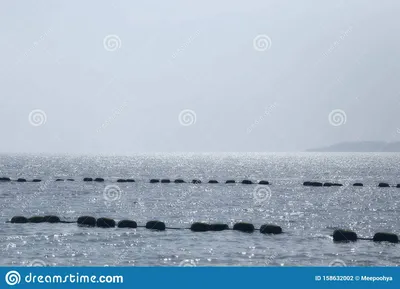 Ночь, море, скалы и палатка - Михаил Соколов