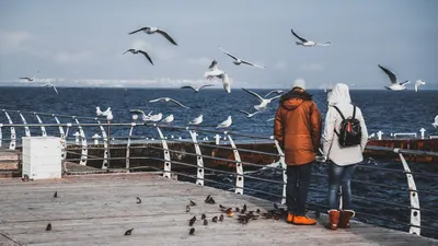 Солнце, чайки и море: одесситы наслаждаются прогулками по побережью  (фоторепортаж) — УСІ Online