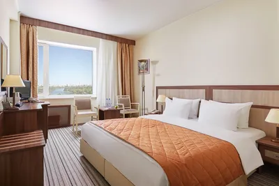 Standard Double Room - Izmailovo Hotel Gamma-Delta Moscow, Russia