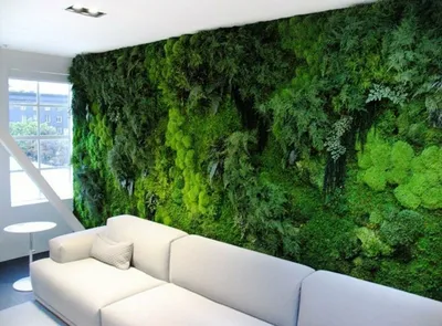 Стабилизированный мох в интерьере: декоративный интерьерных мох в дизайне  квартиры