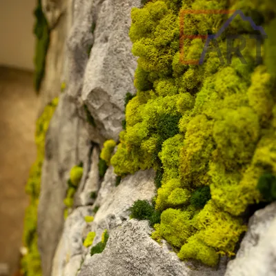 Акцентная стена «Скала и мох» в интерьере квартиры | ElmuART