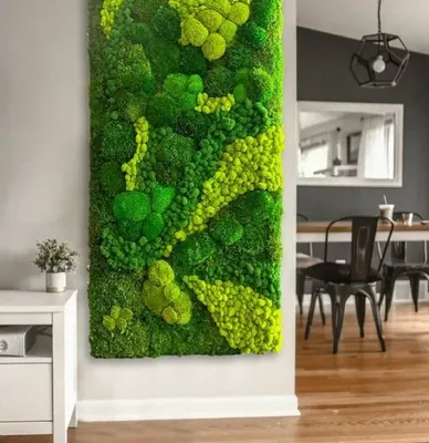 Стабилизированный мох в интерьере: декоративный интерьерных мох в дизайне  квартиры