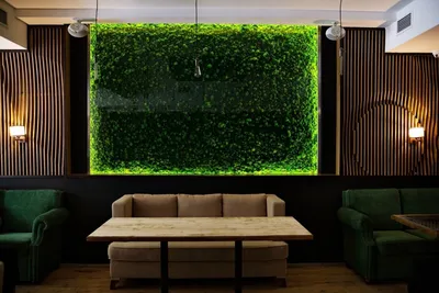 Декор из мха в интерьере: преимущества природного материала для дизайна и  микроклимата в комнатах жилого дома