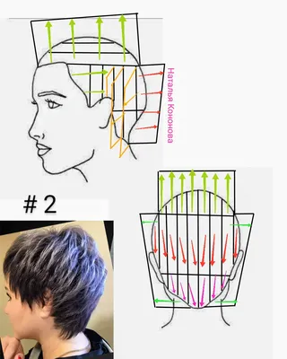 Стрижки с удлиненными затылками, подходят полным. Часть 33 | Прически для  густых волос, Стрижка, Укладка коротких волос