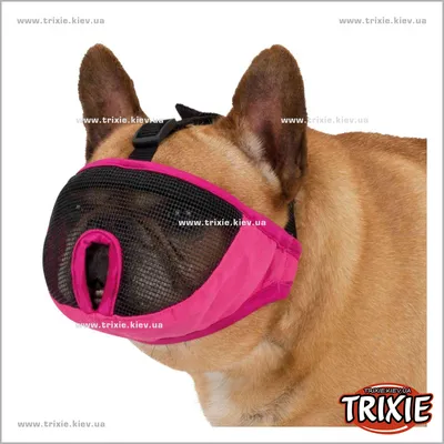 TX-17621 Намордник для коротконосых собак TRIXIE (S 31cm розовый French  Bulldog) Trixie TX-17621 ТРИКСИ Украина