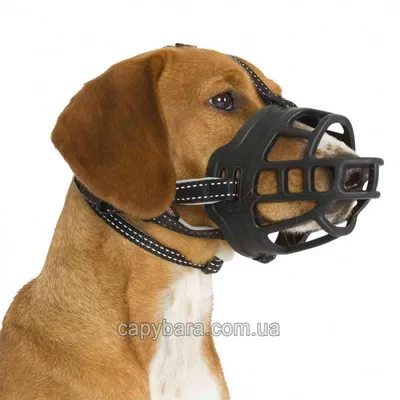 Trixie (Трикси) Muzzle Flex Намордник для собак силиконовый S (1)