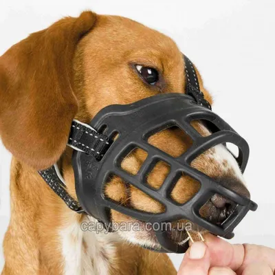 Trixie (Трикси) Muzzle Flex Намордник для собак силиконовый S (1)