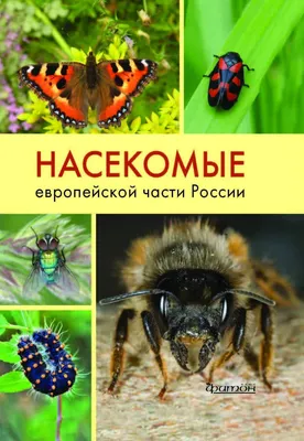 Книга: \"Насекомые европейской части России. Атлас с обзором биологии  насекомых. Карцев, Фарафанова, Ахатов \" - купить в интернет-магазине ГеоФото