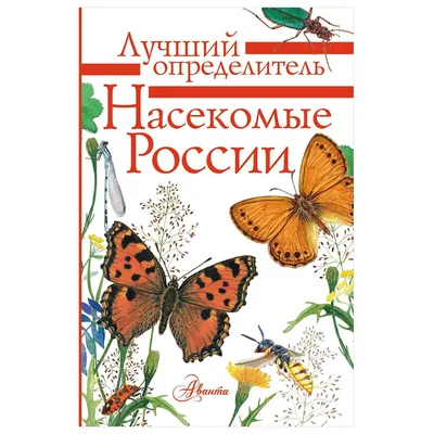 Энциклопедия АСТ Насекомые России купить в интернет-магазине Детский мир