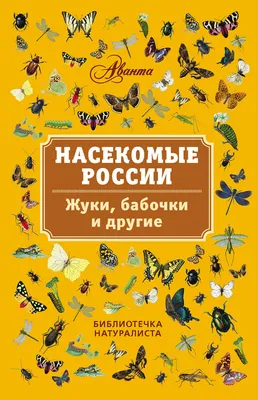 Раннепермские насекомые с хоботками могли выступать в роли опылителей •  Александр Храмов • Новости науки на «Элементах» • Палеоэнтомология, Наука в  России, Эволюция